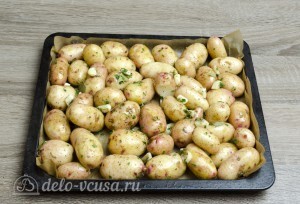 Молодая картошка в духовке: Отправить картошку в духовку