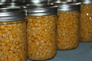 Canned corn ready to be placed on our canning pantry shelf. 