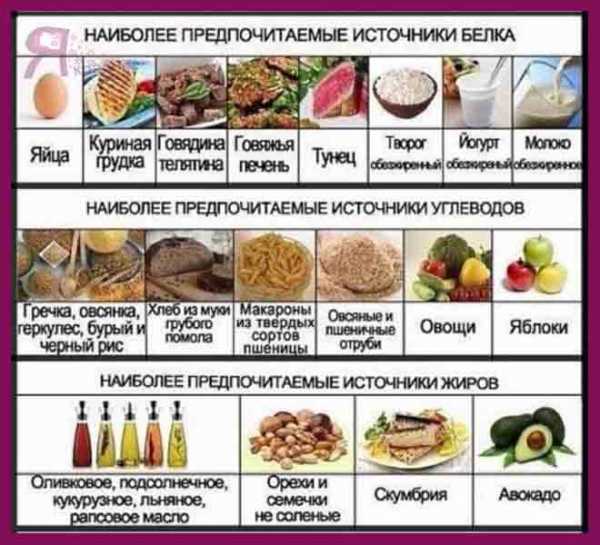 Правильное Питание Рецепты С Фото Пошагово